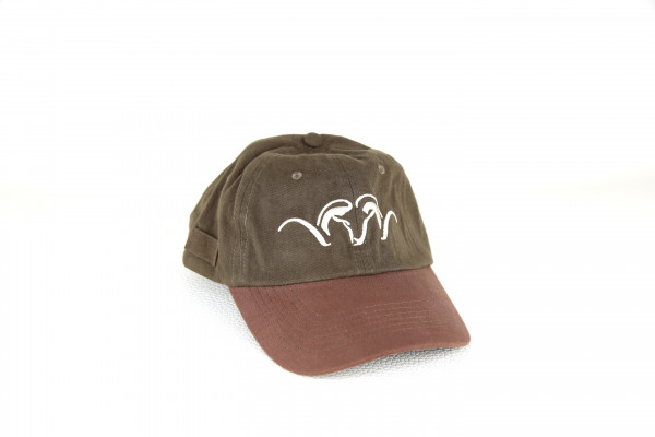 Hut Blaser Cap grün/braun